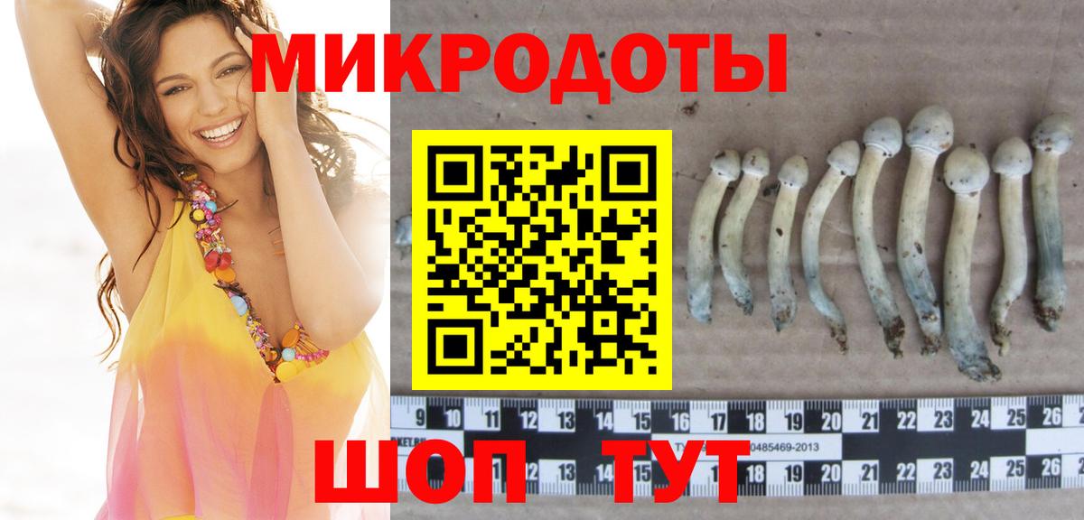 Галлюциногенные грибы GOLDEN TEACHER Калининград